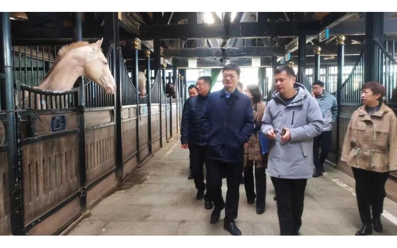 高雷副廳長在野馬集團調(diào)研時表示，要通過科技助力，精準解決“卡脖子”問題
